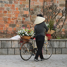 Hanoi's History & Architecture: A Walking Tour for Heritage Lovers